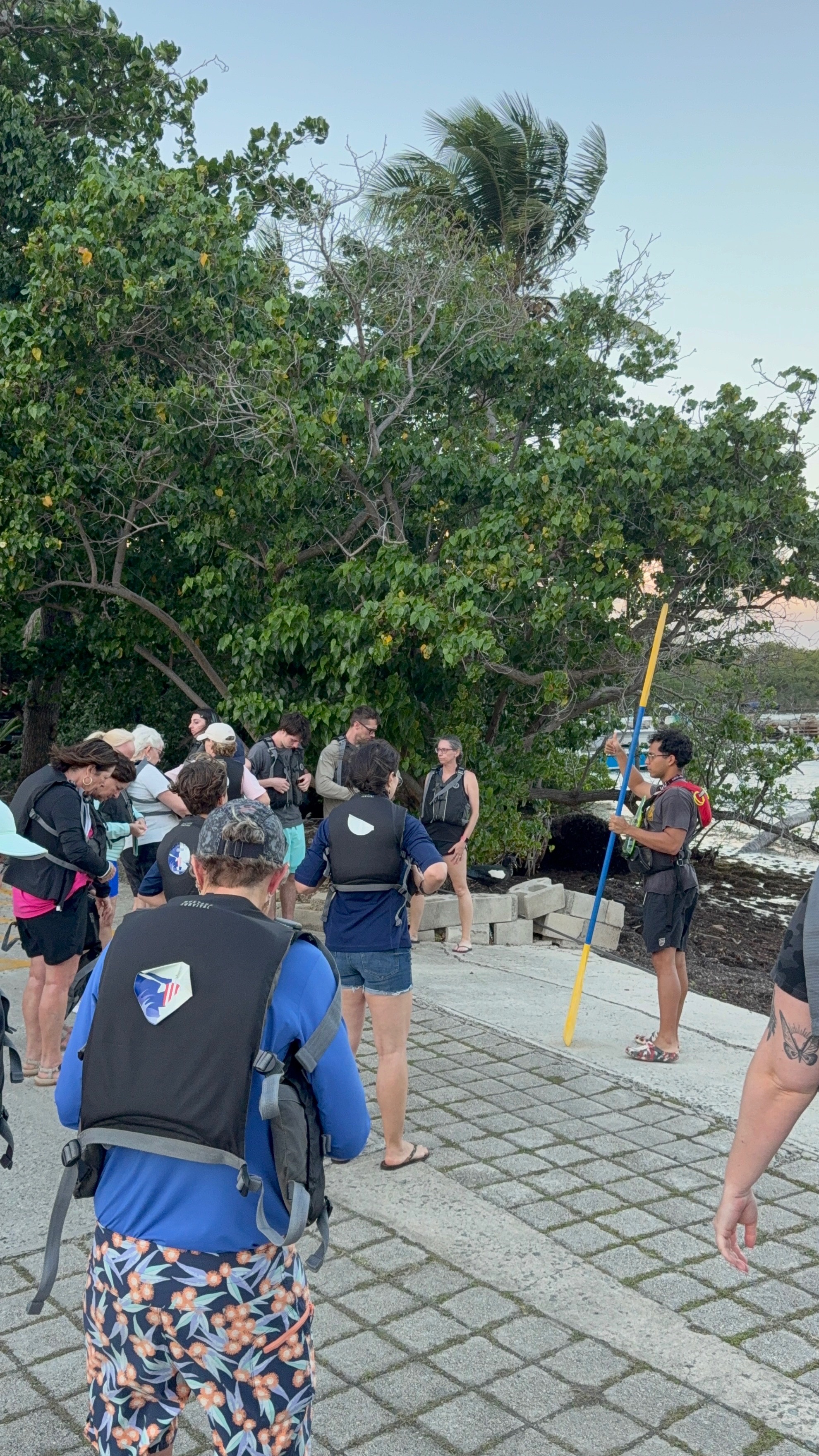 Bioluminescent kayak tour in Fajardo