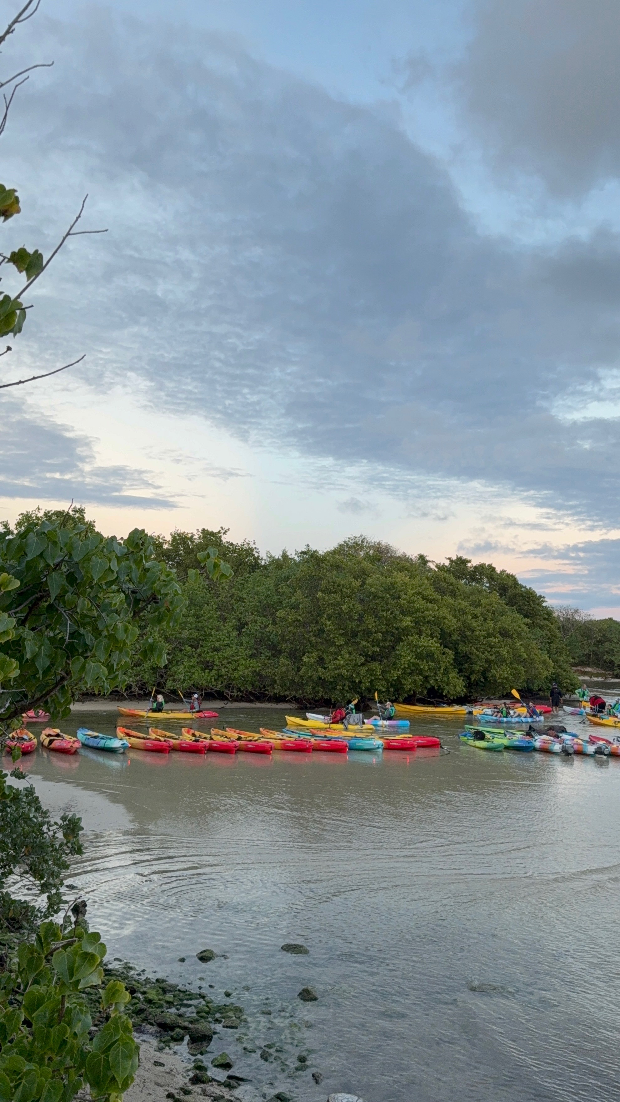 Night kayak experience in bioluminescent bay