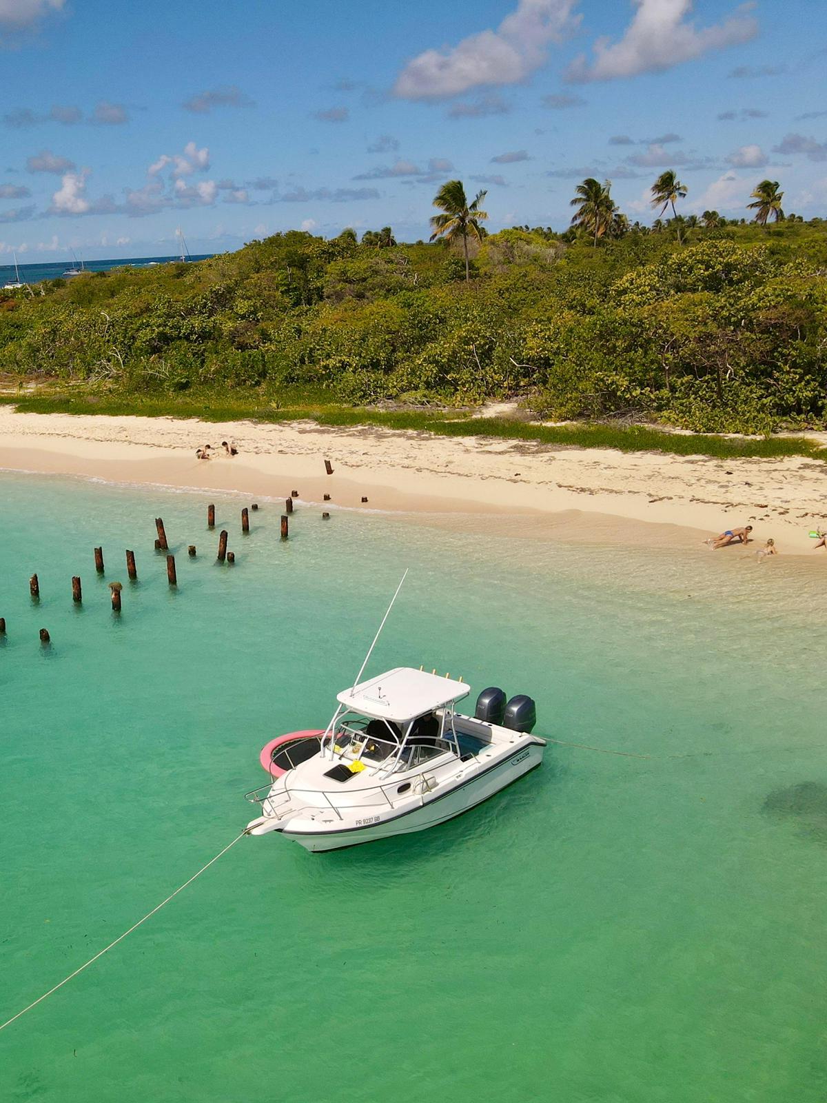 Boston Whaler 24' private charter in Puerto Rico