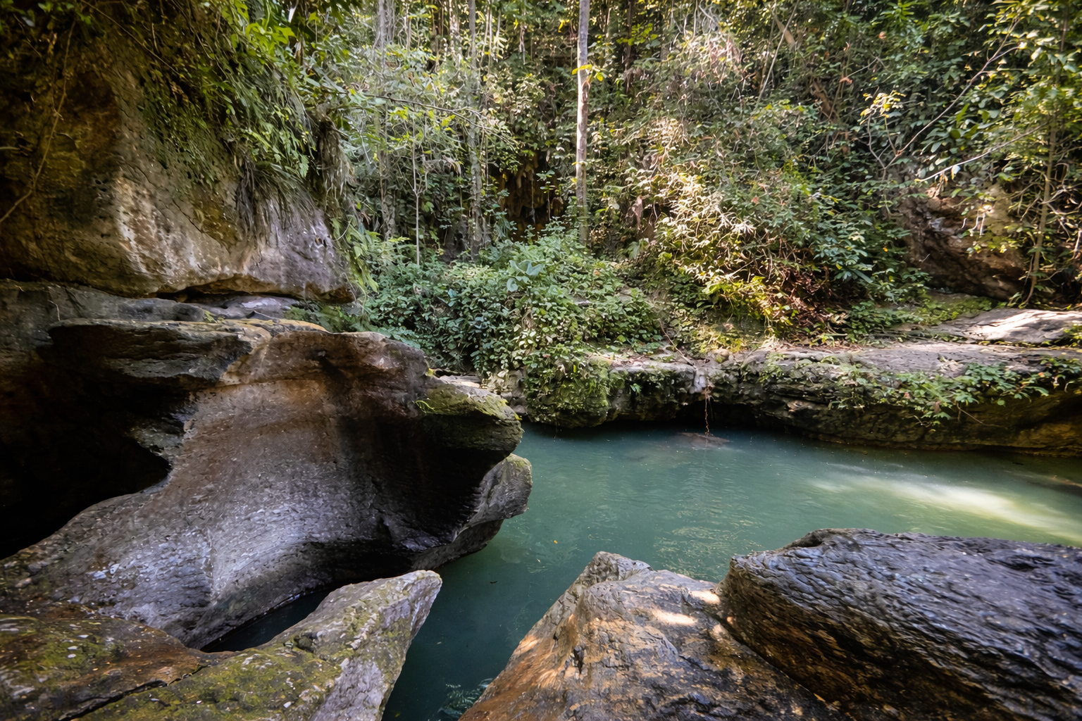 Cave swimming adventure in Vega Baja