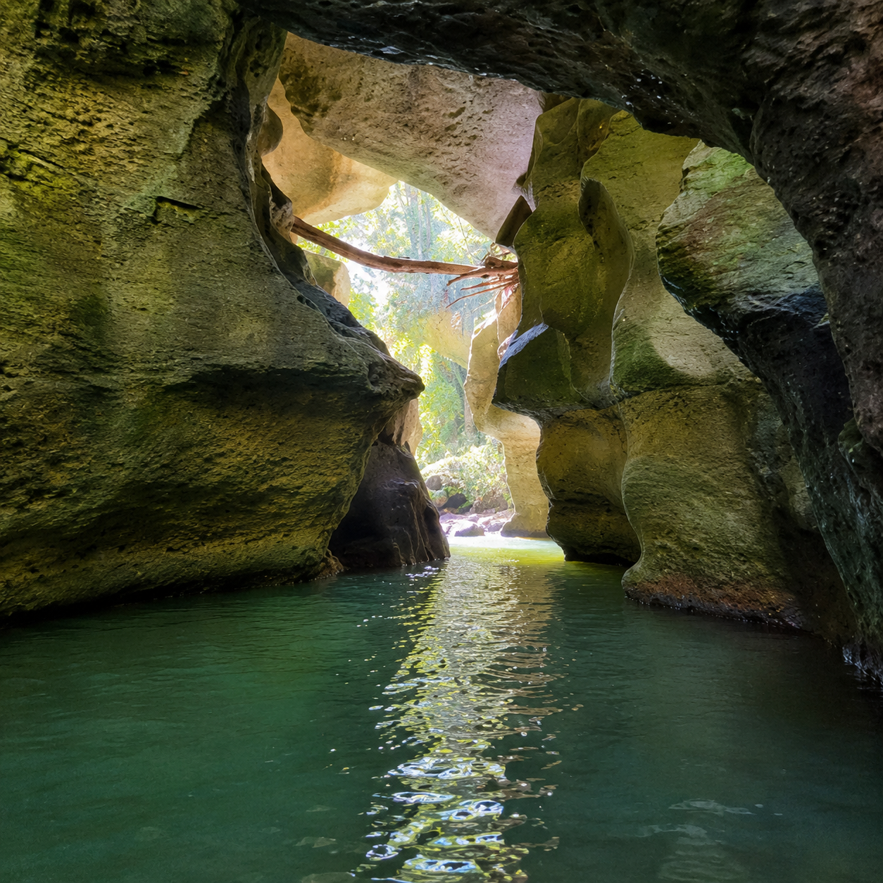 Sunlight streaming into a river cave passage in Vega Baja