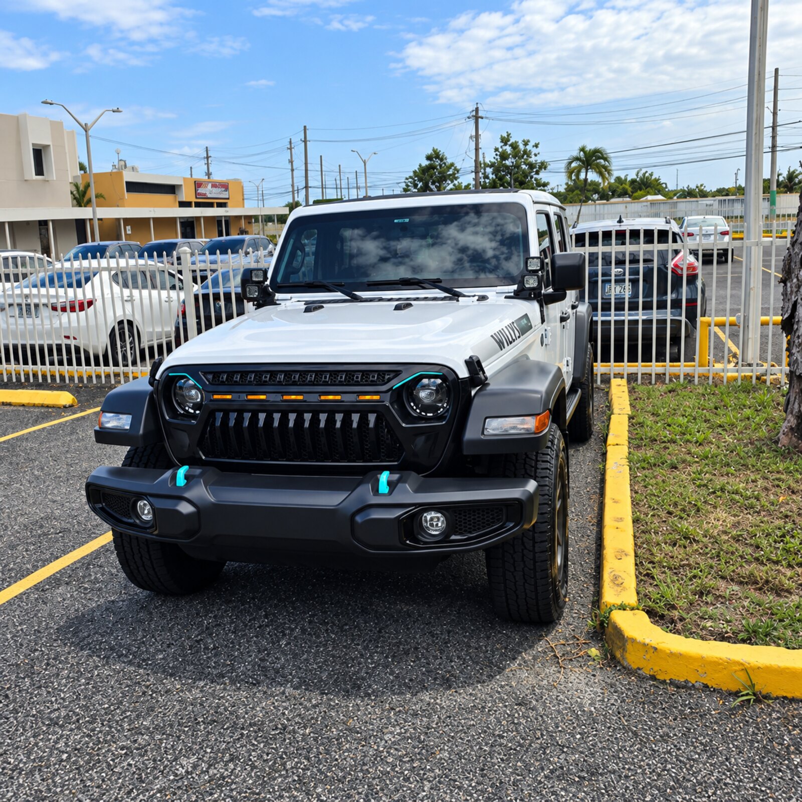 White Jeep Wrangler Willys with teal accents available for daily rental in Puerto Rico