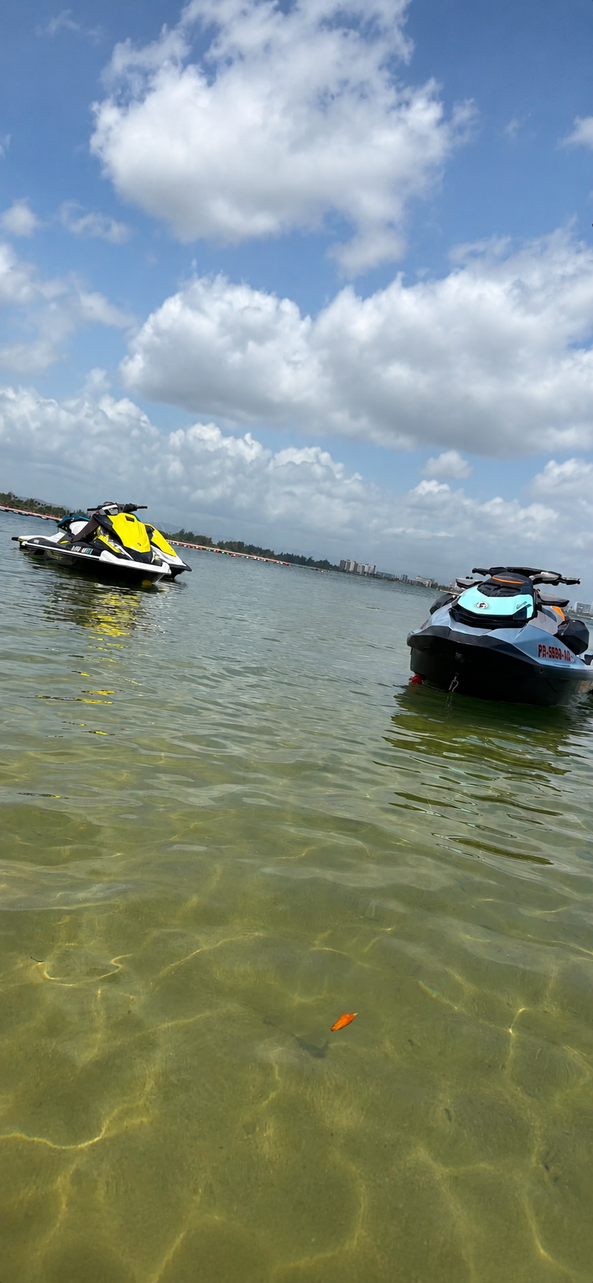 Jet ski rentals moored in crystal-clear water along the Puerto Rico coast