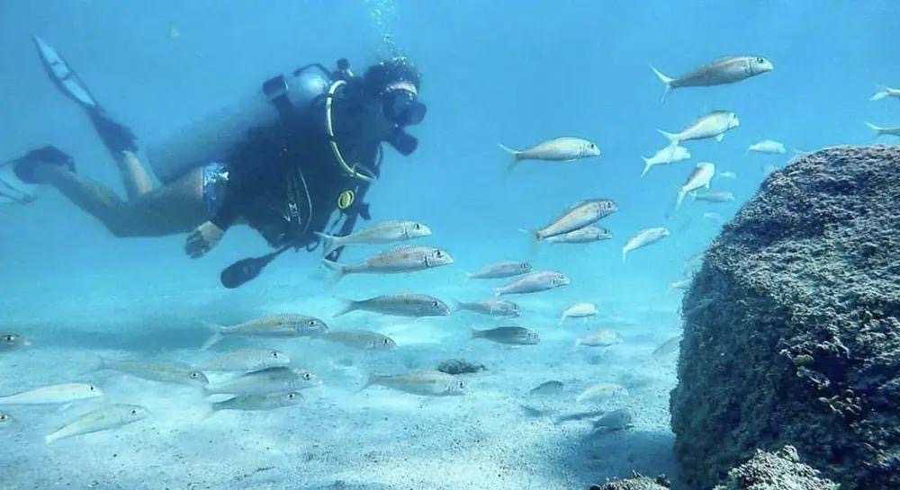 Scuba diver exploring a coral reef surrounded by tropical fish in San Juan