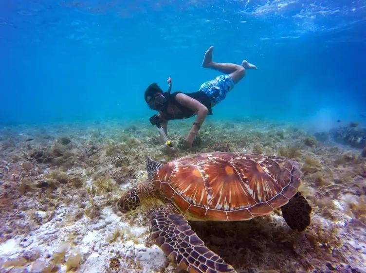 Snorkeler swimming next to a sea turtle in San Juan