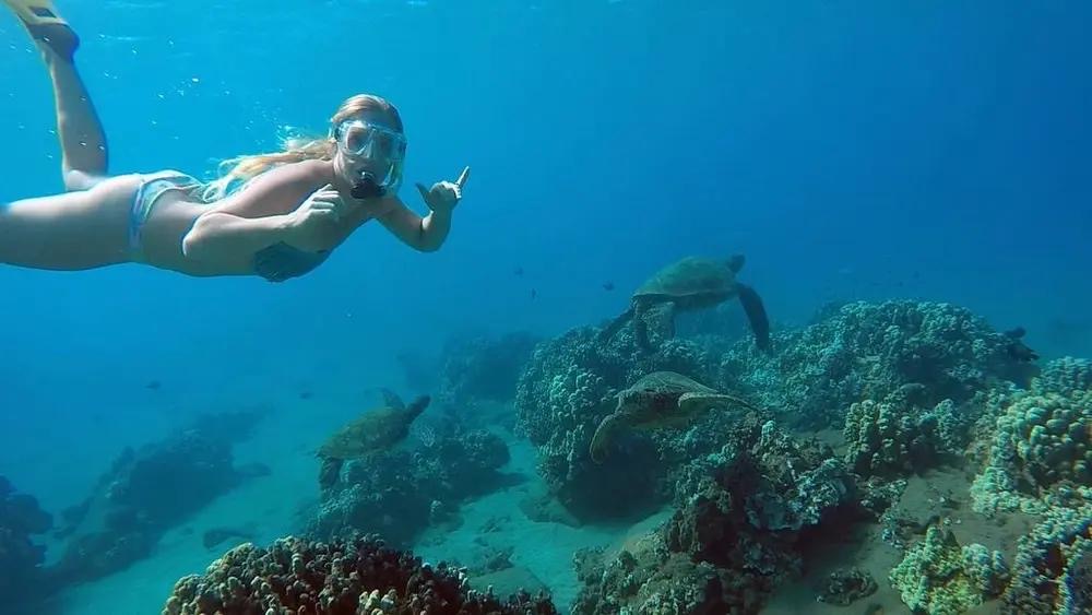 Snorkeler exploring a coral reef with sea turtles in San Juan